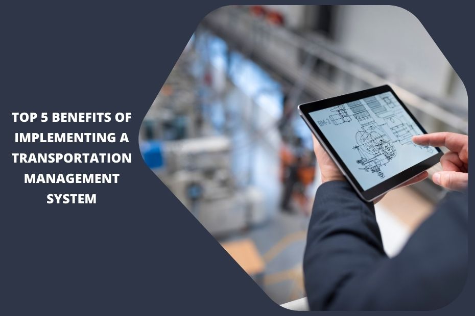 A logistics manager using a digital Transportation Management System dashboard to monitor shipments and optimize routes.